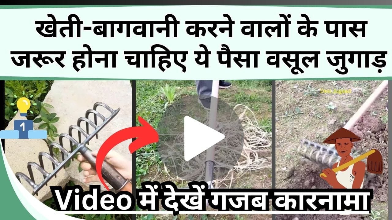 खेती-बागवानी करने वालों के पास जरूर होना चाहिए ये पैसा वसूल जुगाड़, 4 से 5 काम करेगा, Video में देखें गजब कारनामा