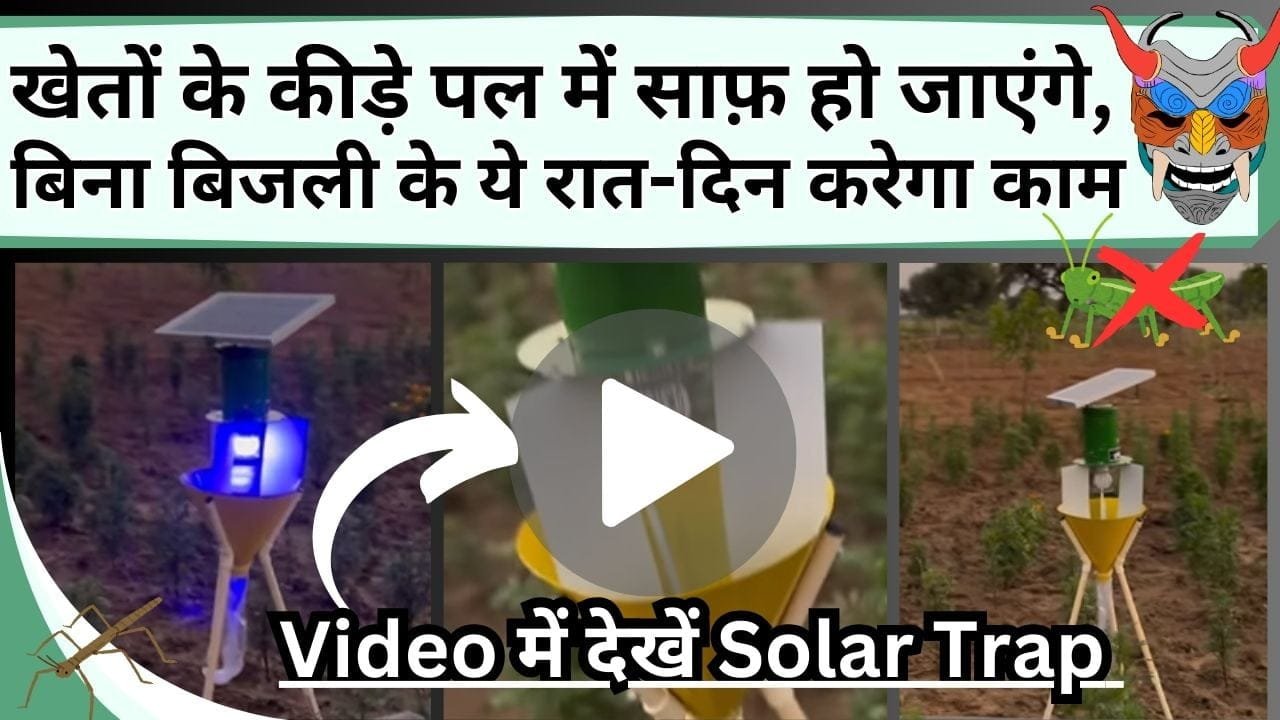 खेतों के कीड़े पल में साफ़ हो जाएंगे, बिना बिजली के ये रात-दिन करेगा काम, Video में देखें Solar Trap कैसे करेगा धमाल