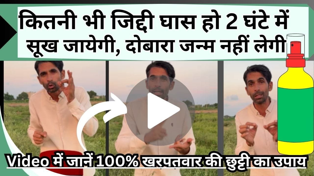 कितनी भी जिद्दी घास हो 2 घंटे में दम तोड़ देगी, दोबारा जन्म नहीं लेगी, Video में जानें 100% खरपतवार की छुट्टी का उपाय