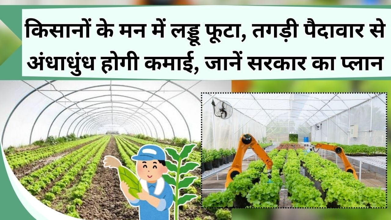 किसानों के मन में लड्डू फूटा, तगड़ी पैदावार से अंधाधुंध होगी कमाई, जानिये हाईटेक नर्सरी को लेकर सरकार का ऐलान