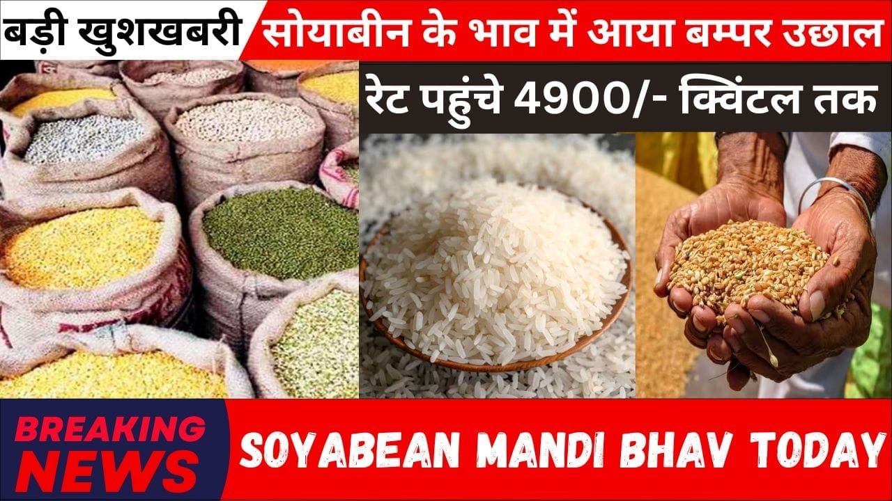 Soyabean Mandi Bhav Today