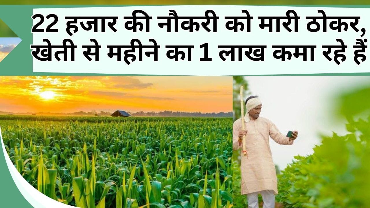 22 हजार की नौकरी को मारी ठोकर, खेती से महीने का 1 लाख कमा रहे हैं त्रिपाठी जी, जानिए कैसे मिली खेती में सफलता