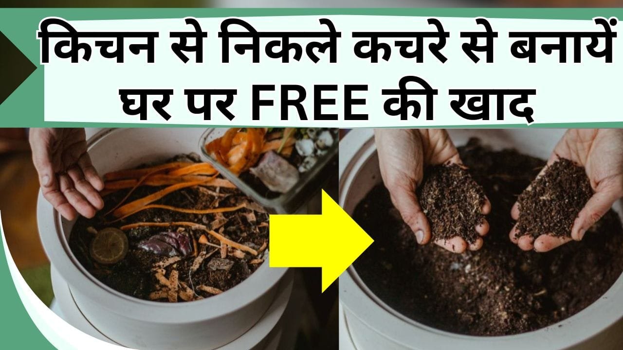 किचन से निकले कचरे से बनायें घर पर FREE की खाद, 1% भी नहीं आएगी बदबू, जानिए पौधों के लिए कैसे बनाएं खाद