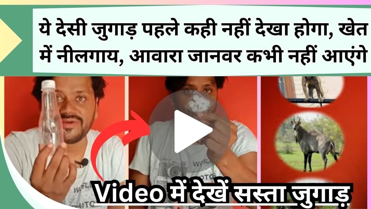 ये देसी जुगाड़ पहले कही नहीं देखा होगा, खेत में नीलगाय, आवारा जानवर कभी नहीं आएंगे, Video में देखें सस्ता जुगाड़