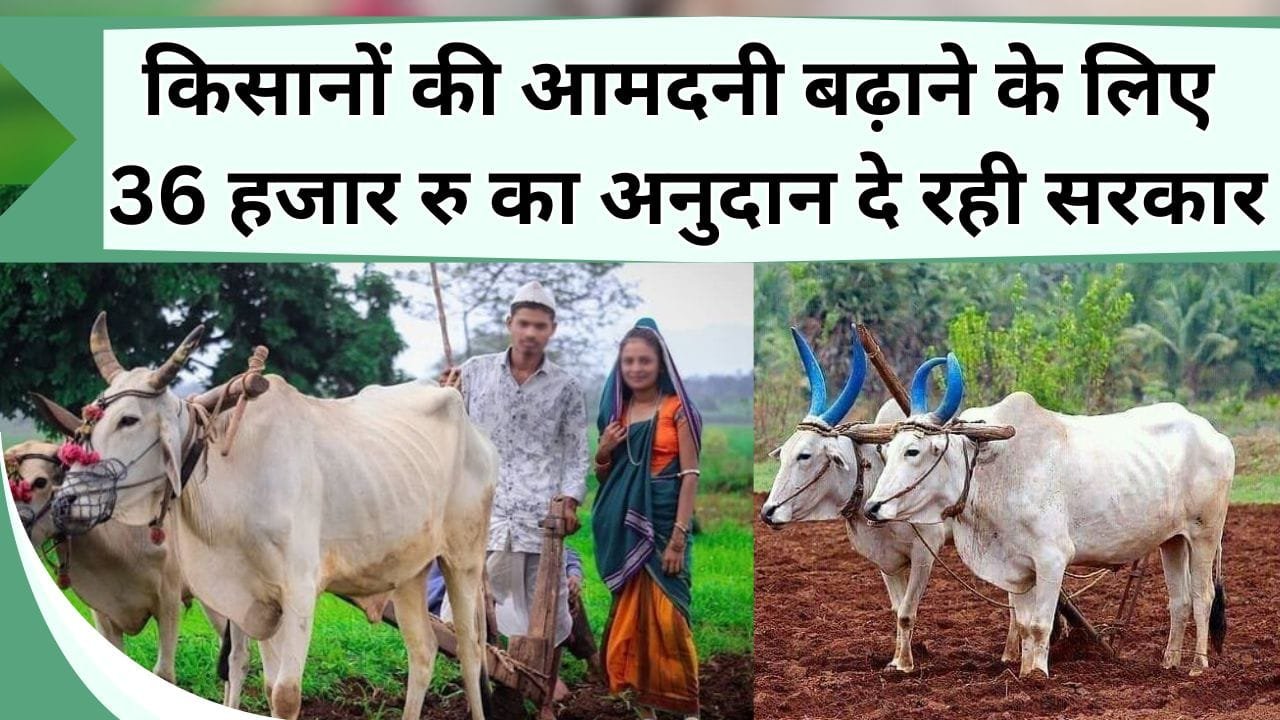 किसानों की आमदनी बढ़ाने के लिए 36 हजार रु का अनुदान दे रही सरकार, यहाँ से करें आवेदन