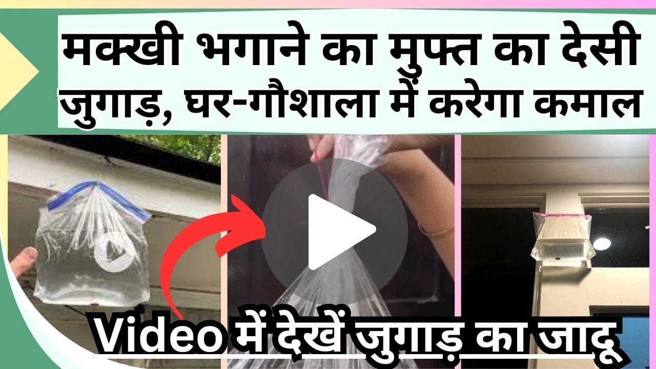मक्खी भगाने का मुफ्त का देसी जुगाड़, घर-गौशाला में करेगा कमाल, Video में देखें जुगाड़ का जादू