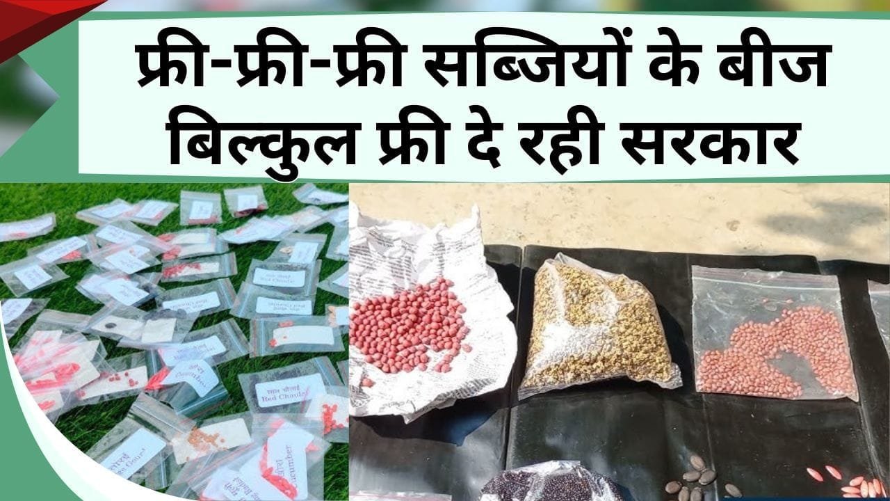 फ्री-फ्री-फ्री सब्जियों के बीज बिल्कुल फ्री दे रही सरकार, यहाँ करें आवेदन, जानें कौन-से लगेंगे कागज़