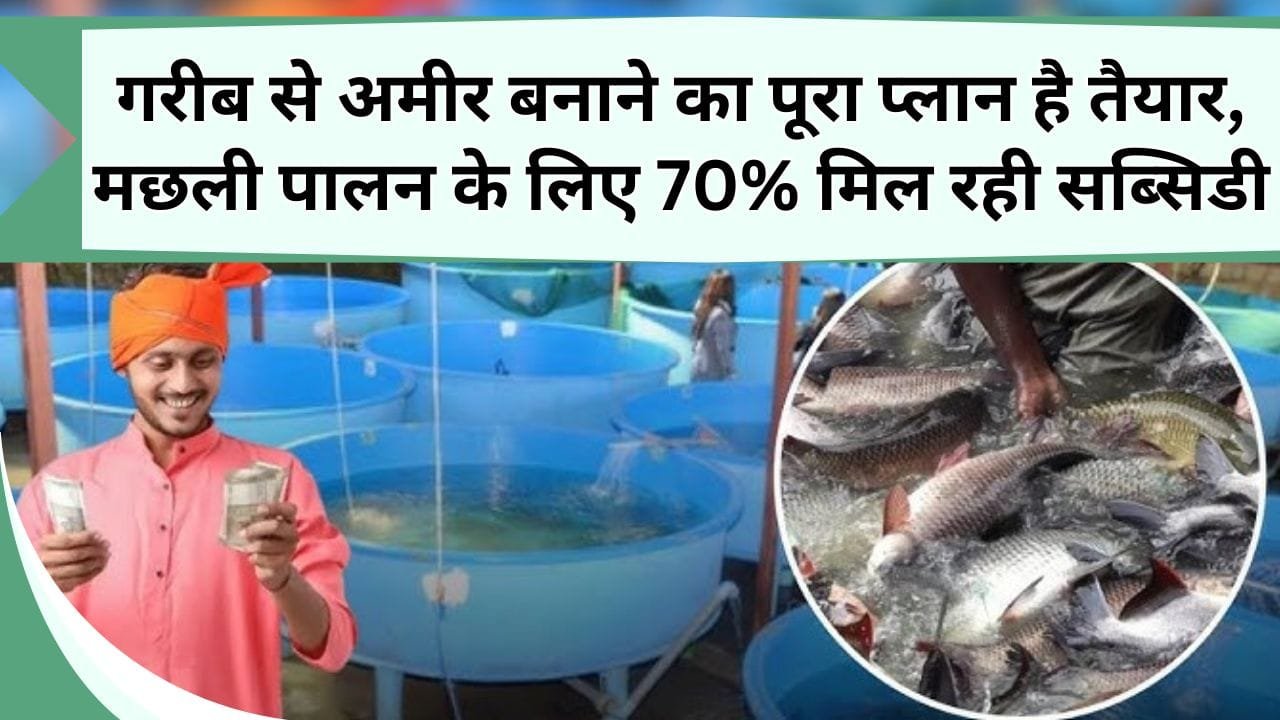 गरीब से अमीर बनाने का पूरा प्लान है तैयार, मछली पालन के लिए 70% मिल रही सब्सिडी, यहाँ करें आवेदन तुरंत मिलेगा लाभ