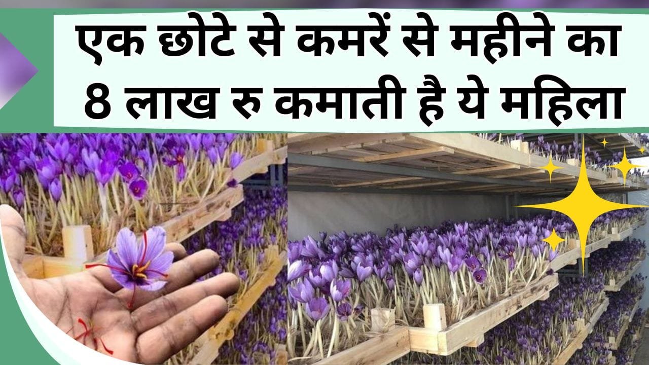 एक छोटे से कमरें से महीने का 8 लाख रु कमाती है ये महिला, जानिये खेती से कैसे महिला के ऊपर हुई नोटों की बारिश