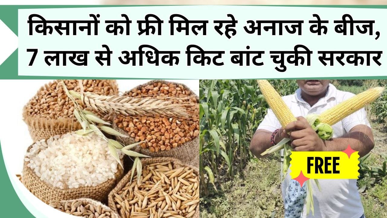 किसानों को फ्री मिल रहे अनाज के बीज, 7 लाख से अधिक किट बांट चुकी सरकार, आय बढ़ाने के लिए सरकार ने बनाया प्लान