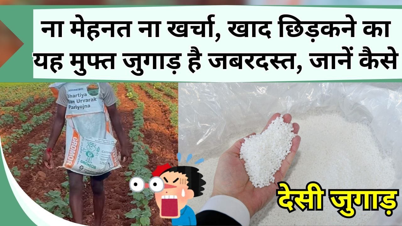 ना मेहनत ना खर्चा, खाद छिड़कने का यह मुफ्त जुगाड़ है जबरदस्त, जानें कैसे खेती का काम करें आसान