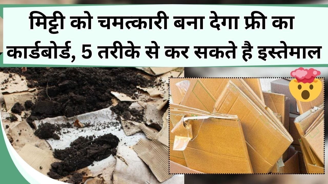मिट्टी को चमत्कारी बना देगा फ्री का कार्डबोर्ड, 5 तरीके से कर सकते है इस्तेमाल, जानें कार्डबोर्ड बगीचे में कैसे करें इस्तेमाल