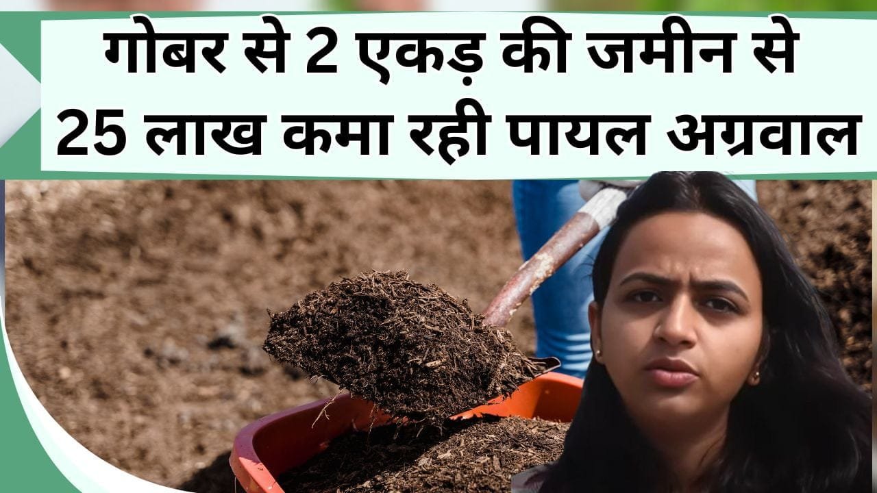 गोबर से 2 एकड़ की जमीन से 25 लाख कमा रही पायल अग्रवाल, लड़की की सफलता की कहानी जान अभी शुरू करेंगे ये व्यवसाय
