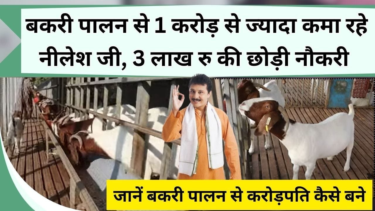 बकरी पालन से 1 करोड़ से ज्यादा कमा रहे नीलेश जी, 3 लाख रु की छोड़ी नौकरी, जानें बकरी पालन से करोड़पति कैसे बने