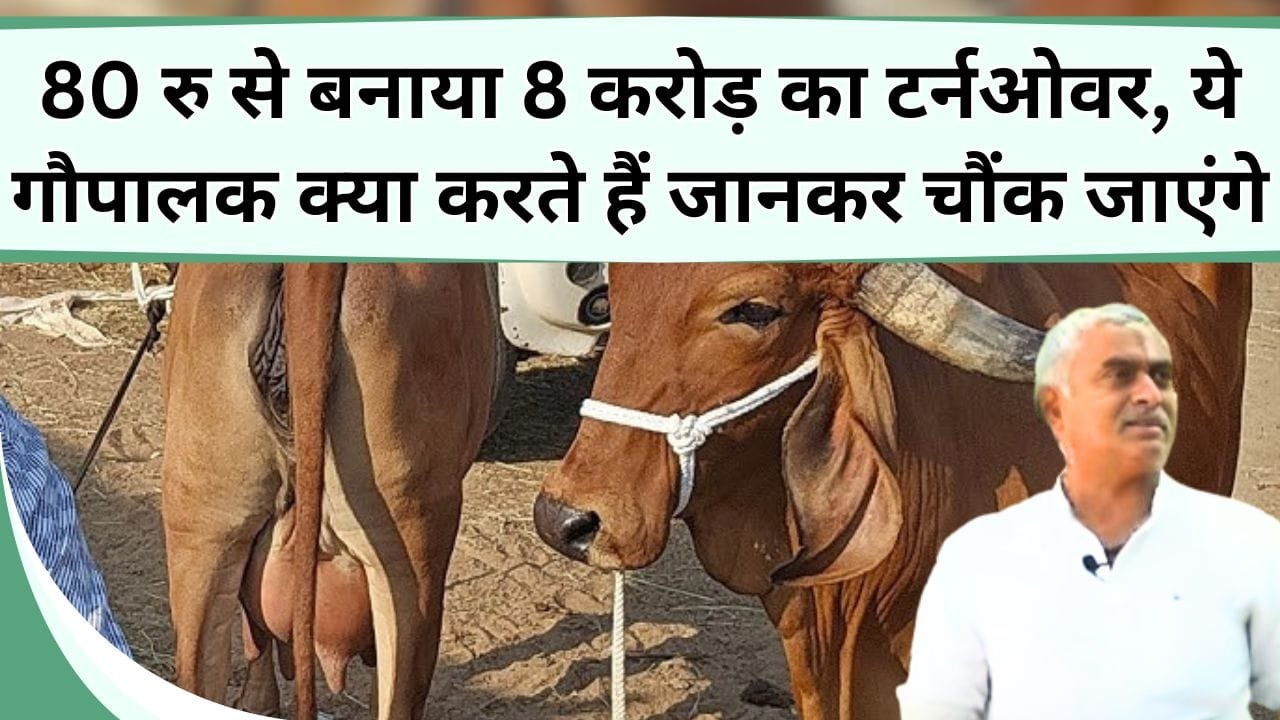सिर्फ 80 रु से आज बनाया 8 करोड़ का टर्नओवर, गौपालक रमेश जी क्या-क्या करते है जानकर पैरो तले खिसक जायेगी जमीन