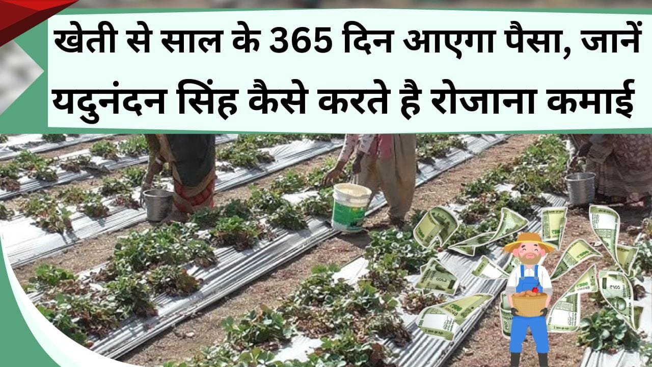 खेती से साल के 365 दिन आएगा पैसा