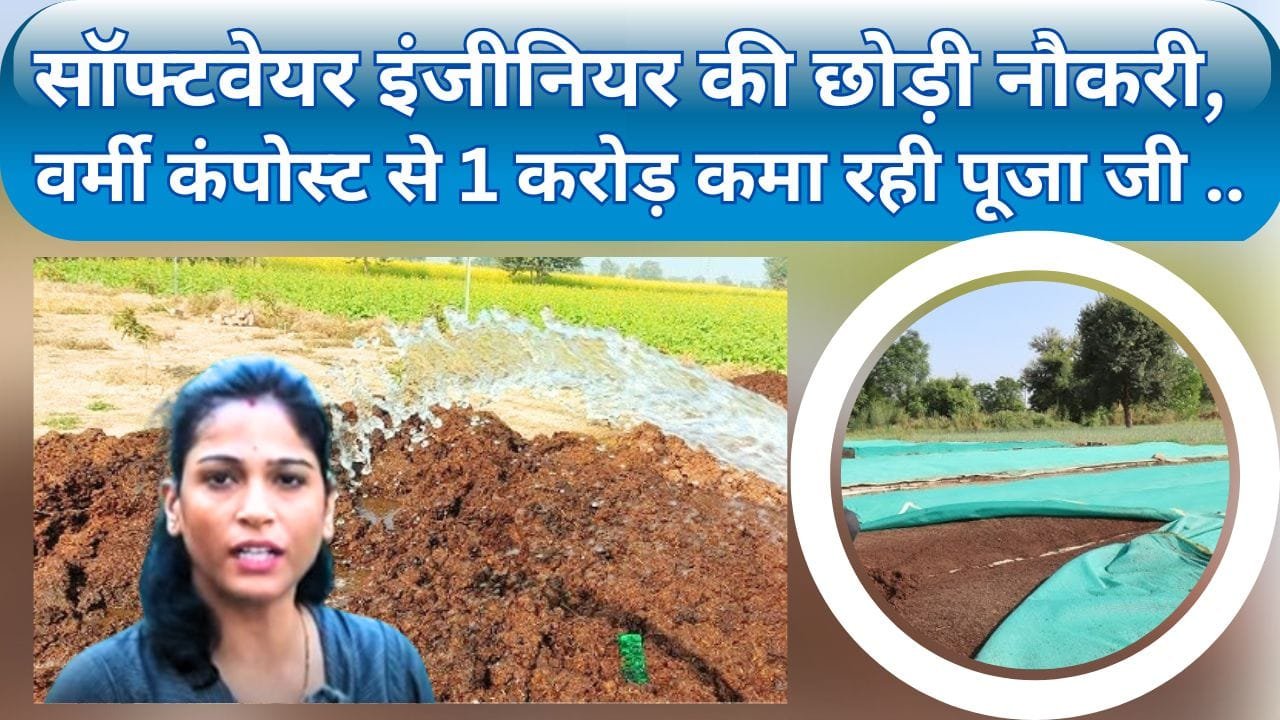 वर्मी कंपोस्ट खाद