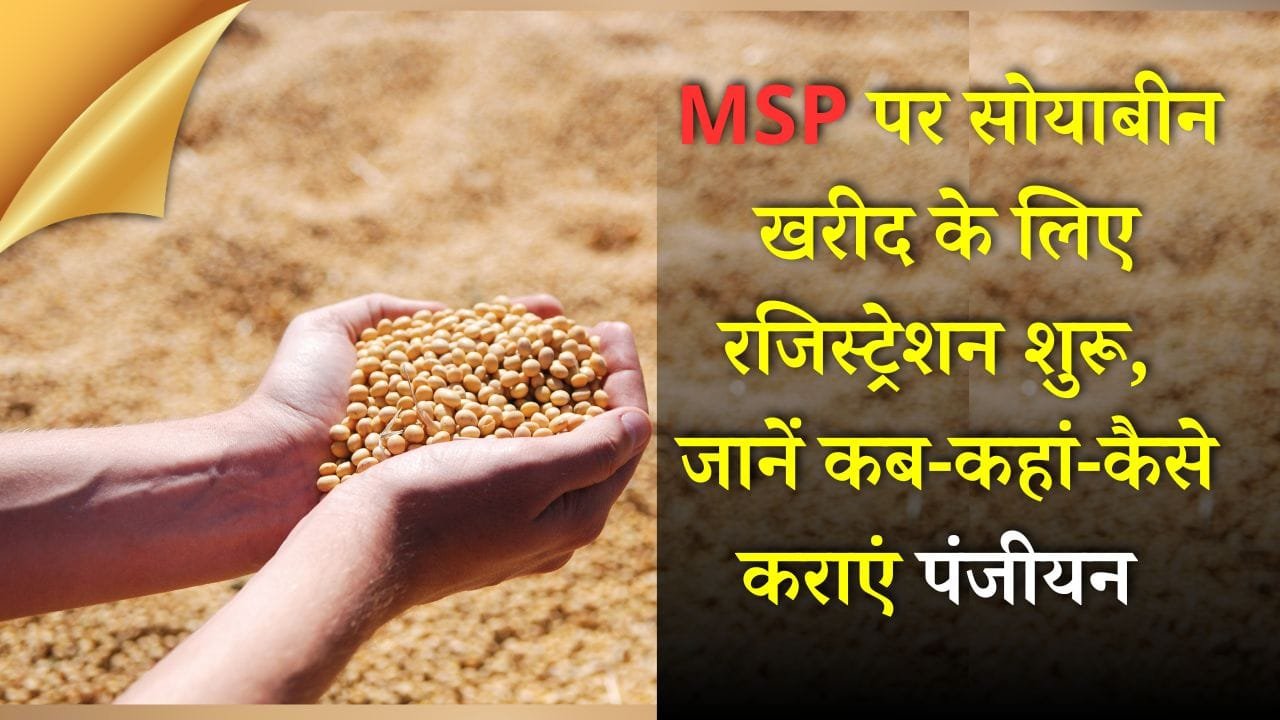 एमएसपी पर सोयाबीन खरीद के लिए रजिस्ट्रेशन शुरू