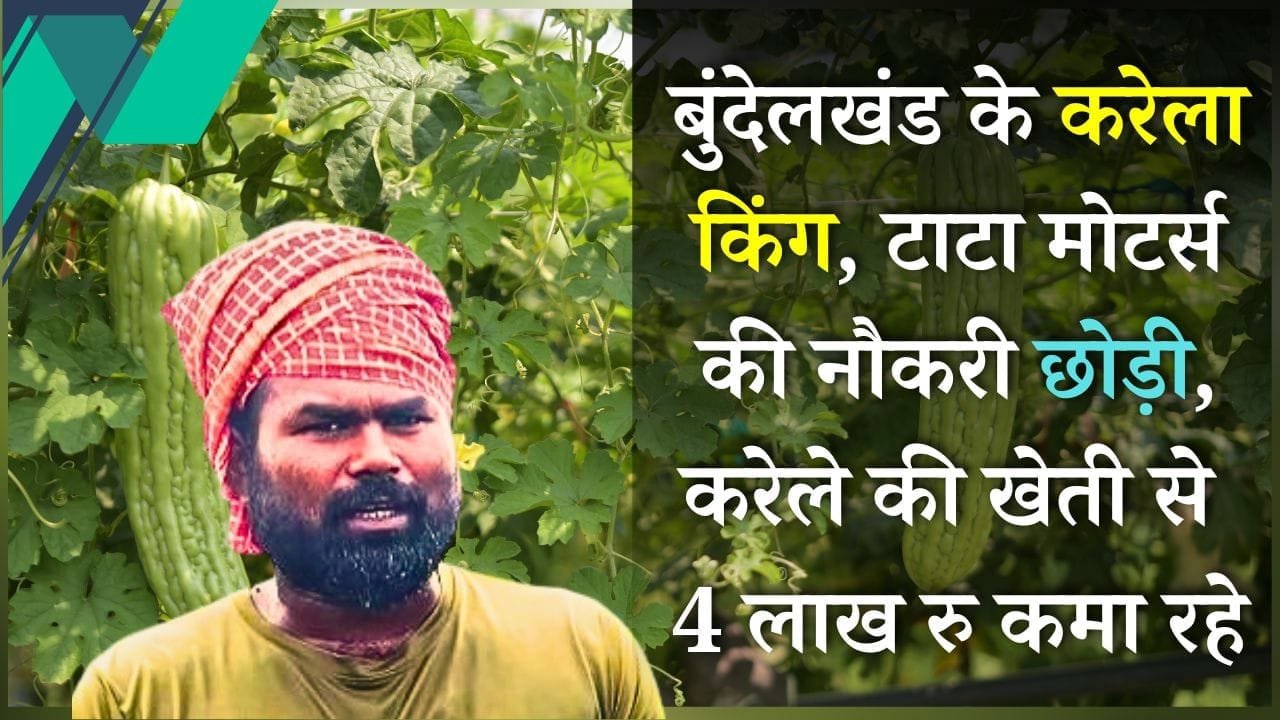 बुंदेलखंड के करेला किंग