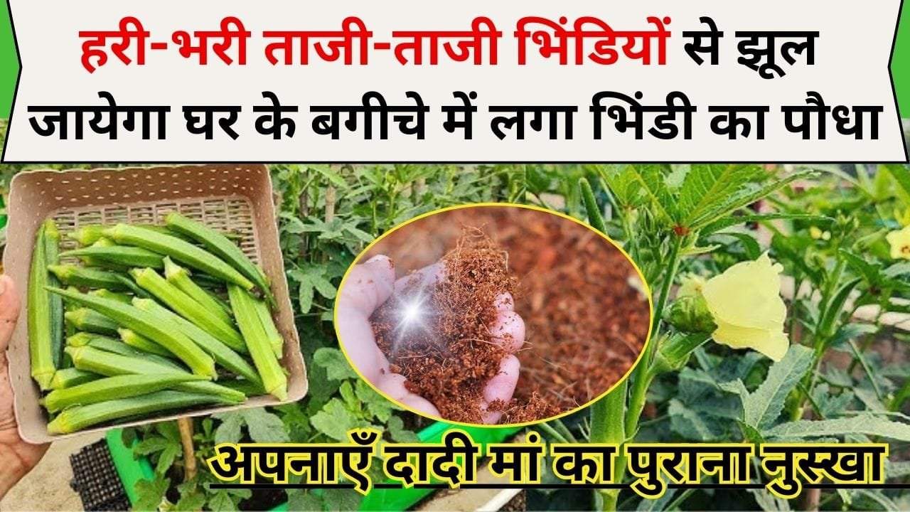 Gardening Tips
