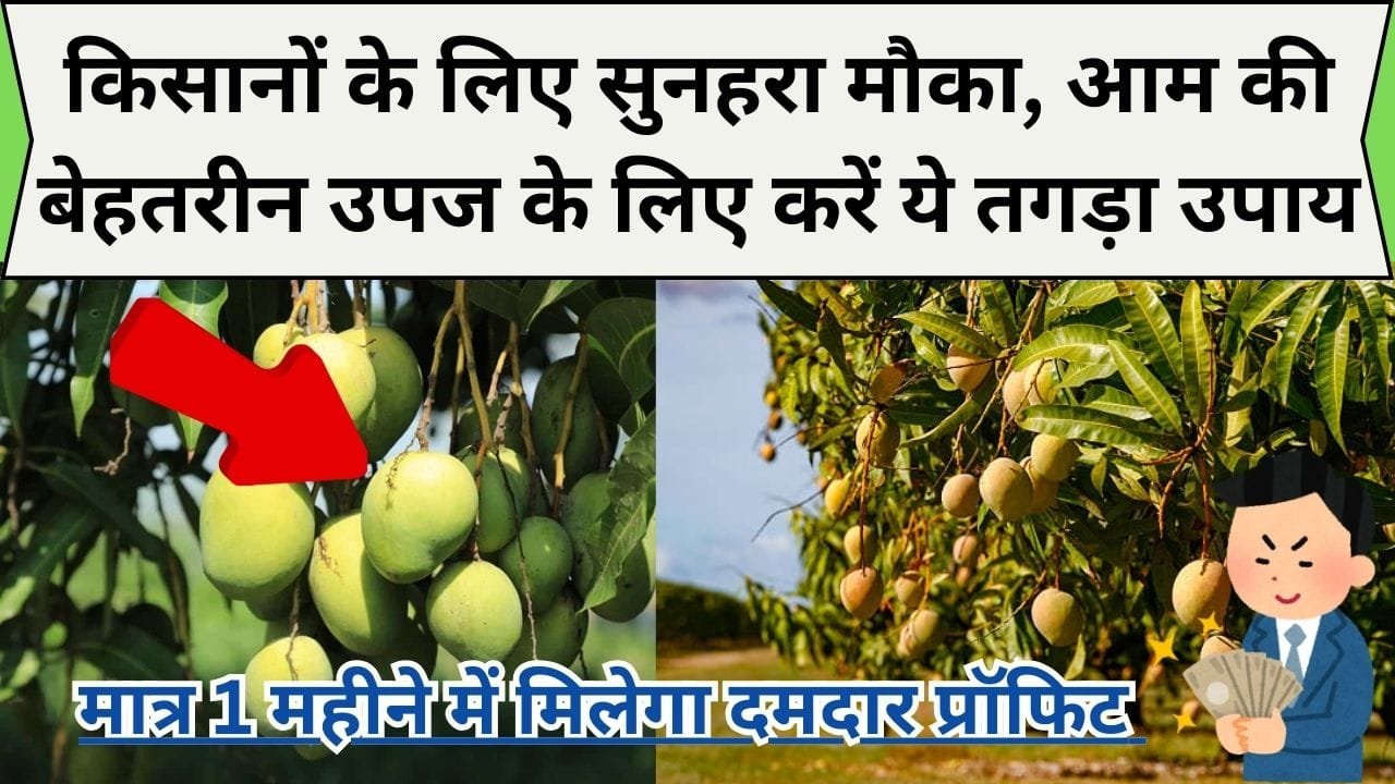 किसानों के लिए सुनहरा मौका