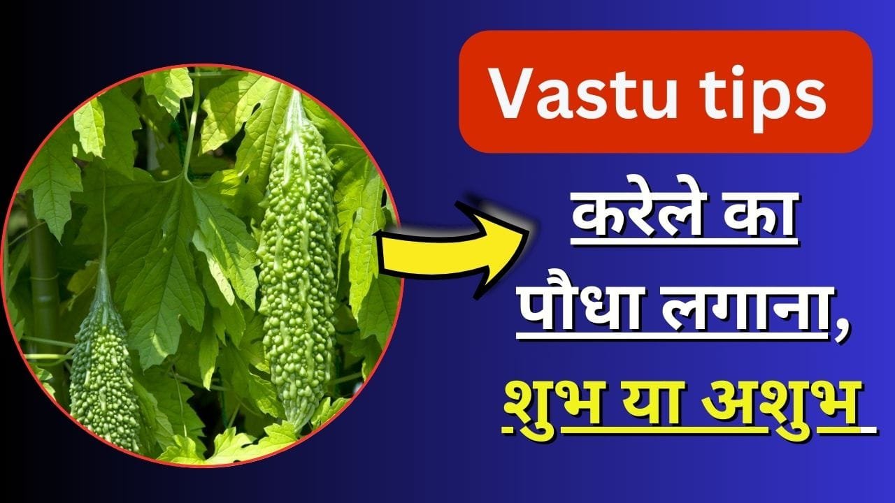 Vastu tips