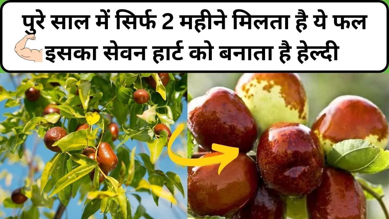पुरे साल में सिर्फ 2 महीने मिलता है ये फल, इसका सेवन हार्ट को बनाता है हेल्दी और आंखों की रोशनी होती है 2 गुना तेज, जाने नाम और काम