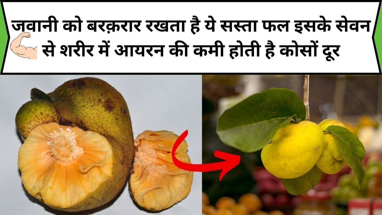 जवानी को बरक़रार रखता है ये सस्ता फल, इसके सेवन से शरीर में आयरन की कमी होती है कोसों दूर चेहरे में आती है दोगुनी चमक, जाने नाम और काम