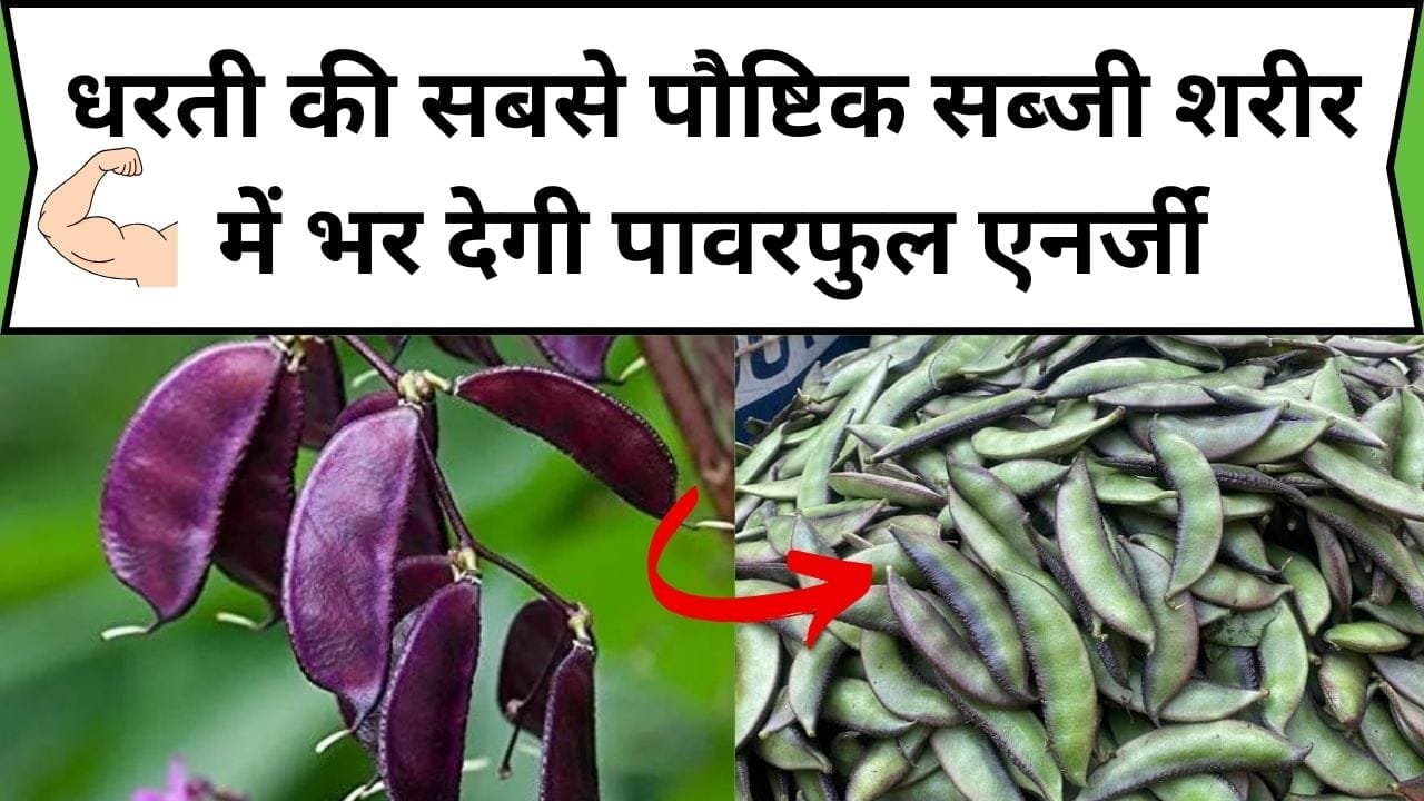 धरती की सबसे पौष्टिक सब्जी शरीर में भर देगी पावरफुल एनर्जी, खाते ही कमजोरी होगी गायब, जाने नाम और काम