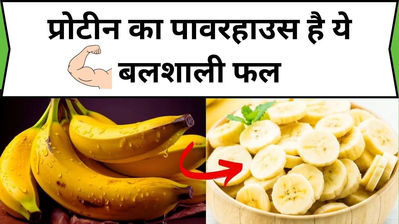 प्रोटीन का पावरहाउस है ये बलशाली फल, लकड़ी जैसे शरीर को बना देगा बलवान और हड्डियों में फूंक देगा जान, जाने नाम और काम