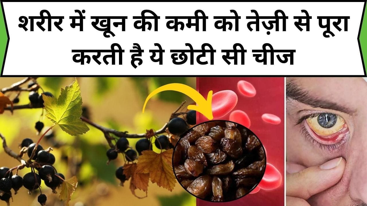 शरीर में खून की कमी को तेज़ी से पूरा करती है ये छोटी सी चीज, सेवन करते ही आंखों की रोशनी होती है दोगुना तेज़, जाने नाम और काम