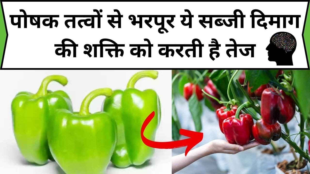 पोषक तत्वों से भरपूर ये सब्जी दिमाग की शक्ति को करती है तेज, सेवन करते ही बीमारियां सेहत से होती है कोसों दूर, जाने नाम और काम