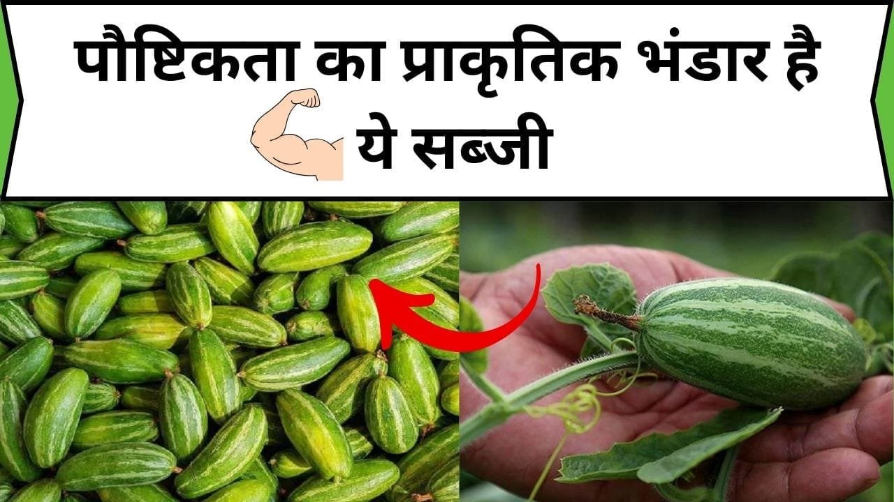 पौष्टिकता का प्राकृतिक भंडार है ये सब्जी, बढ़ती उम्र में शरीर को देती है जोशीली तंदरुस्ती और चटानी ताकत, जाने नाम और काम