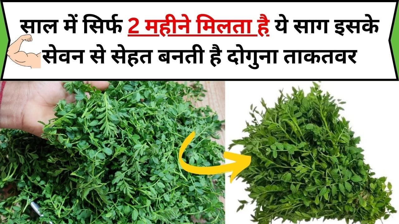 साल में सिर्फ 2 महीने मिलता है ये पौष्टिक साग, इसके सेवन से सेहत बनती है दोगुना ताकतवर, जाने नाम और काम