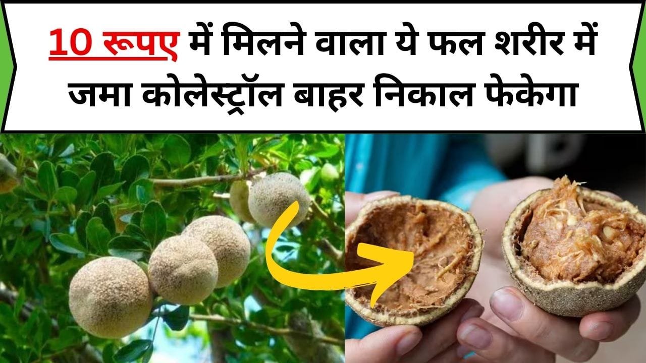 10 रूपए में मिलने वाला ये सस्ता फल शरीर में जमा कोलेस्ट्रॉल बाहर निकाल फेकेगा, नस-नस में दौड़ेगी खून की रफ़्तार, जानिए नाम और काम