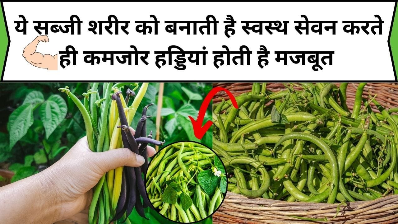 ये सब्जी शरीर को बनाती है स्वस्थ, सेवन करते ही कमजोर हड्डियां होती है मजबूत डाइट में करें शामिल हर कोई पूछेगा तंदरुस्ती का राज, जाने नाम और काम