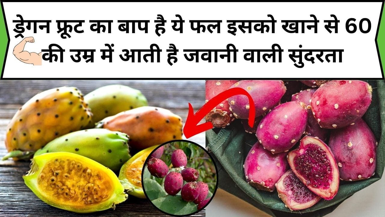 ड्रेगन फ्रूट का बाप है ये ताकतवर फल, इसको खाने से बुढ़ापा भी दूर भाग जाता है 60 की उम्र में आती है जवानी वाली सुंदरता, जाने नाम और काम