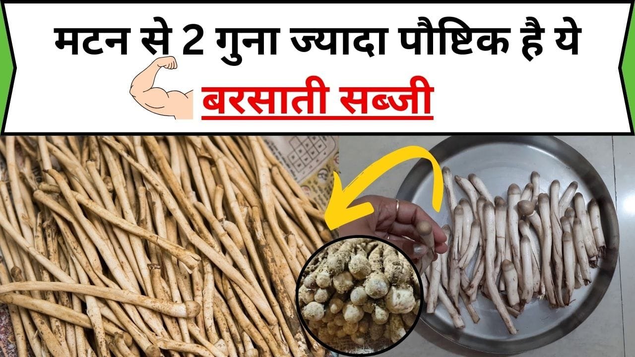 मटन से 2 गुना ज्यादा पौष्टिक है ये बरसाती सब्जी, सिर्फ बरसात के दिनों में देखने को मिलती है, जाने नाम और काम