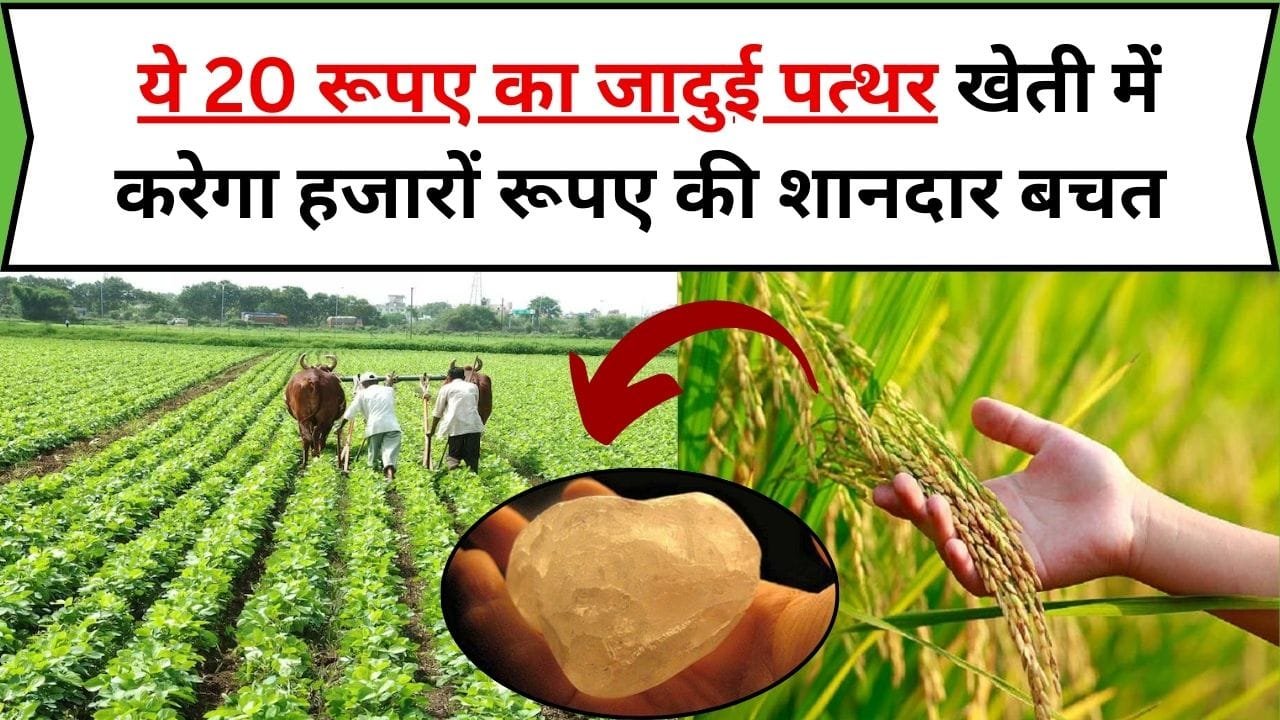 ये 20 रूपए का जादुई पत्थर खेती में करेगा हजारों रूपए की शानदार बचत, उत्पादन भी होगा बंपर, जाने इस पत्थर के फायदे