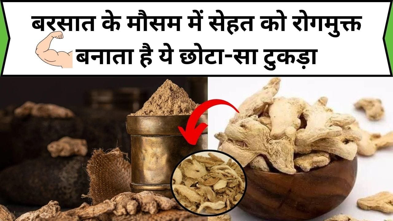 बरसात के मौसम में सेहत को रोगमुक्त बनाता है ये छोटा-सा टुकड़ा, इसके सेवन से कोसों दूर रहती है अनगिनत बीमारियां, जाने नाम और काम