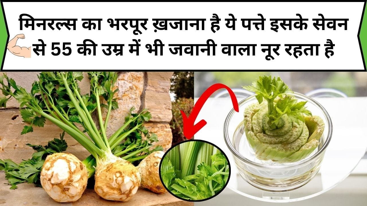 मिनरल्स का भरपूर ख़जाना है ये छोटे पत्ते, इसके सेवन से 55 की उम्र में भी जवानी वाला नूर रहता है और सेहत बनती है तंदुरस्त, जाने नाम और काम