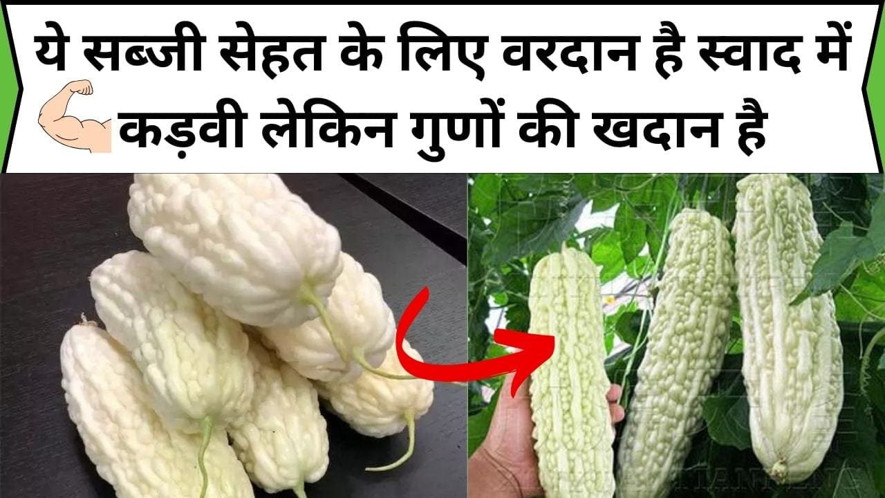 ये सब्जी सेहत के लिए वरदान है स्वाद में कड़वी लेकिन गुणों की खदान है, सेवन करते ही सुखी हड्डियों में आ जाती है पहलवानी ताकत, जानिए फायदे