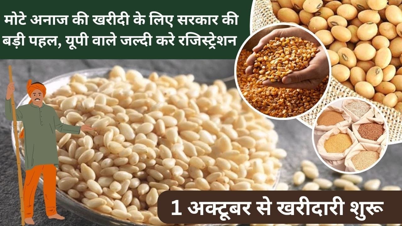 मोटे अनाज की खरीदी