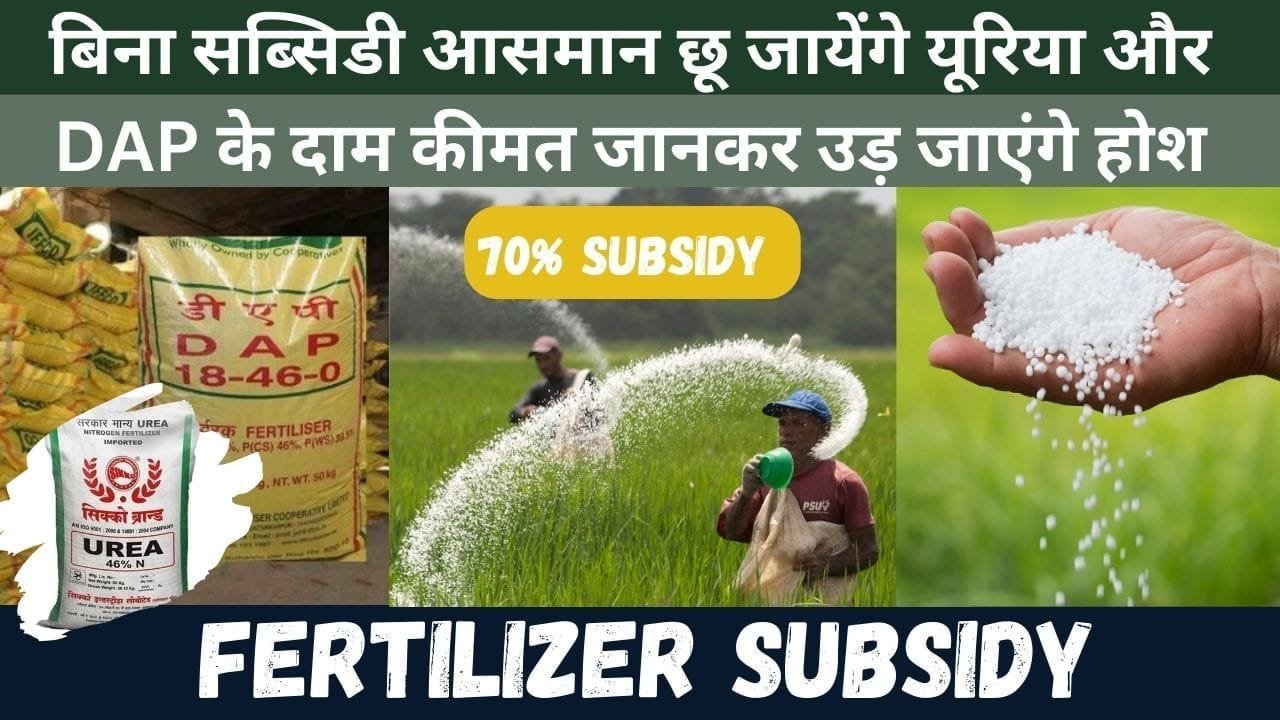 FERTILIZER SUBSIDY
