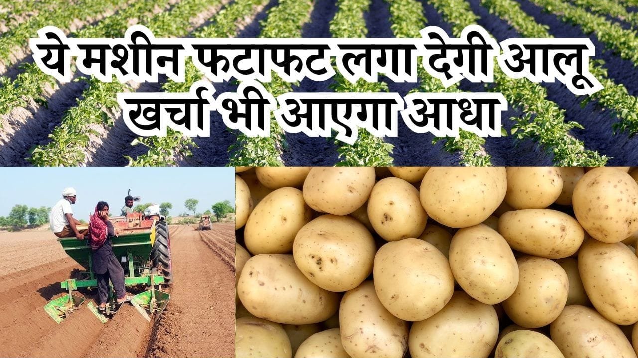 Potato Planter Machine