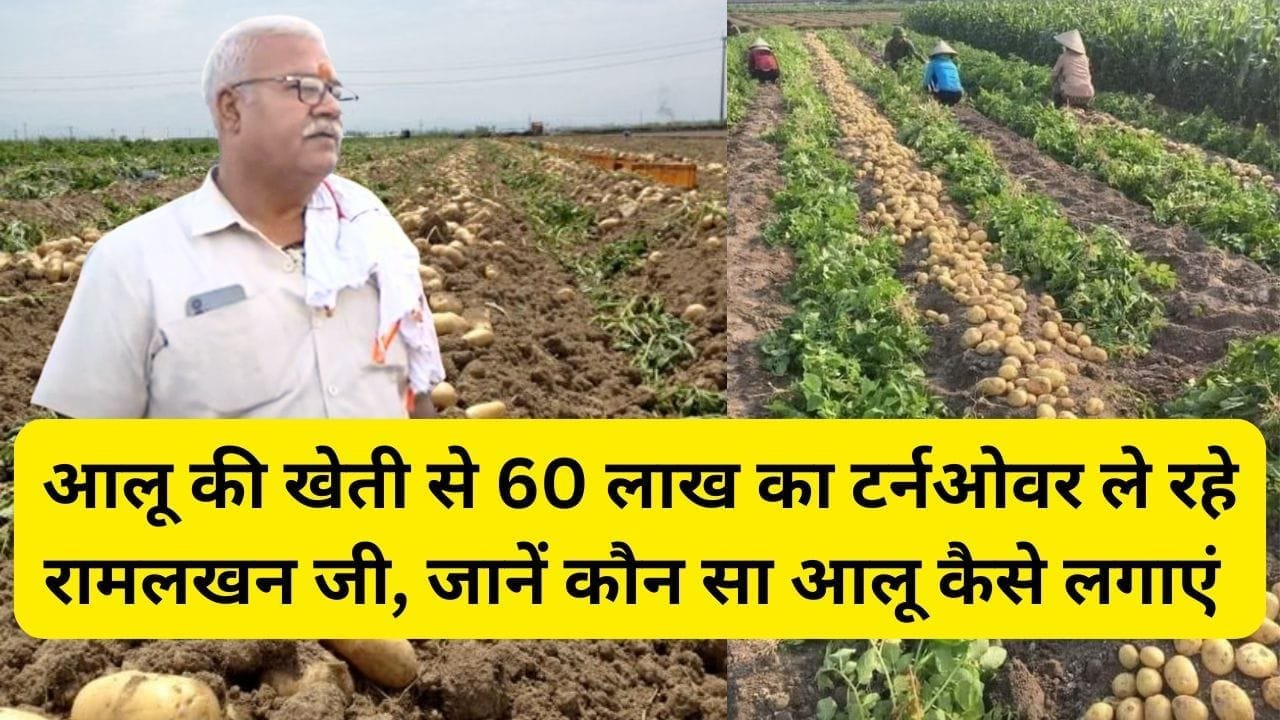 आलू की खेती से 60 लाख का टर्नओवर