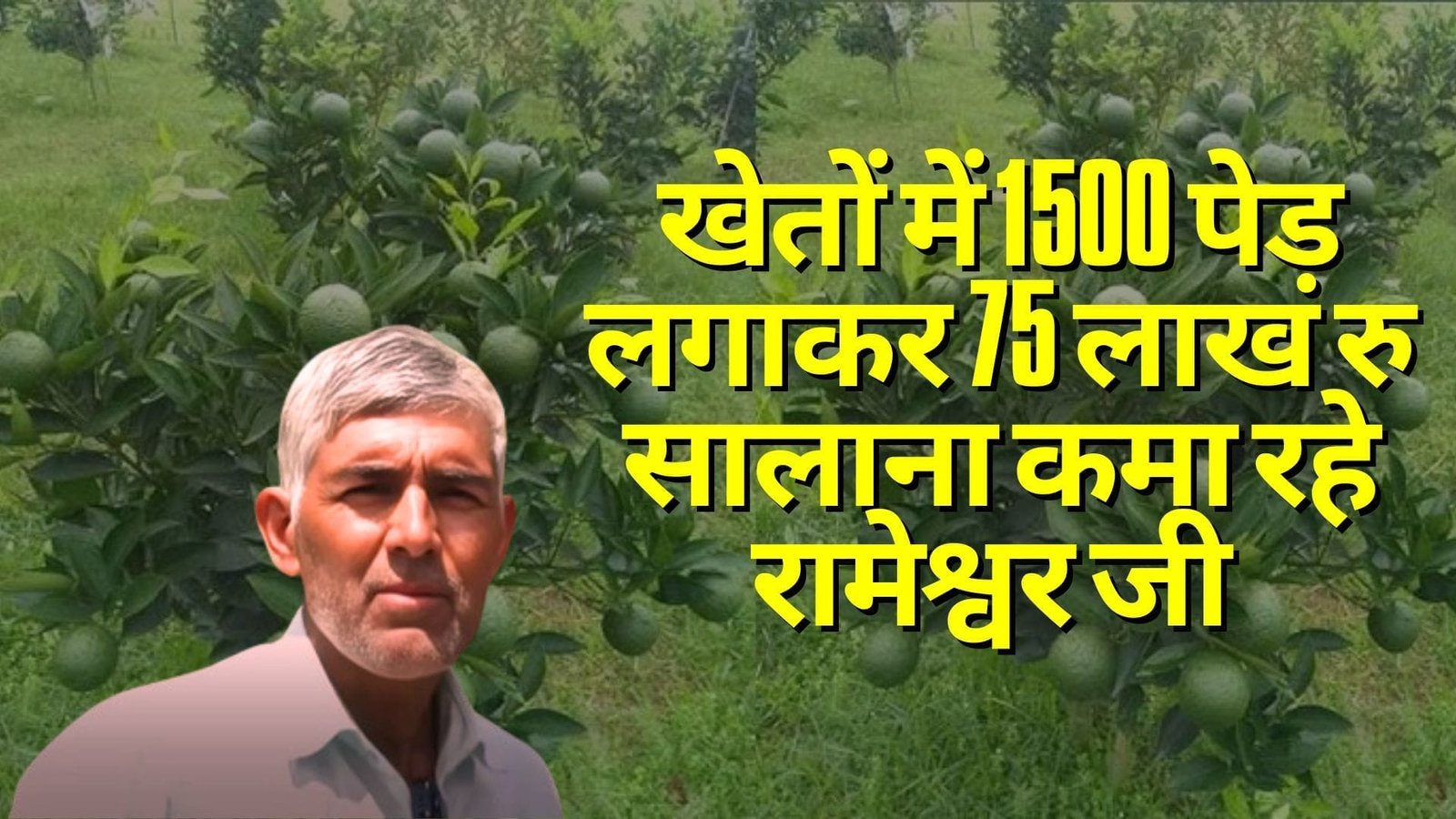 खेतों में 1500 पेड़ लगाकर 75 लाख रु सालाना कमा रहे रामेश्वर जी