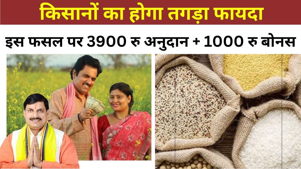 रानी दुर्गावती श्री अन्न प्रोत्साहन योजना