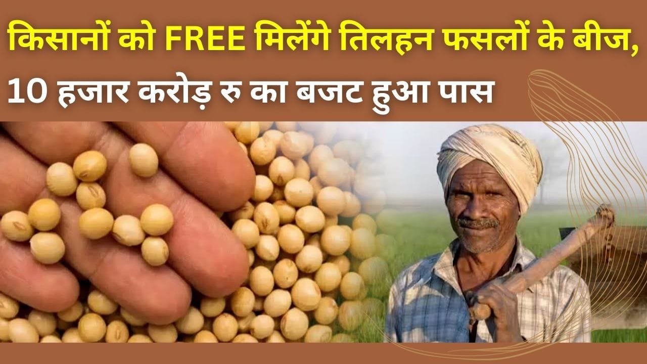 किसानों को FREE मिलेंगे तिलहन फसलों के बीज,