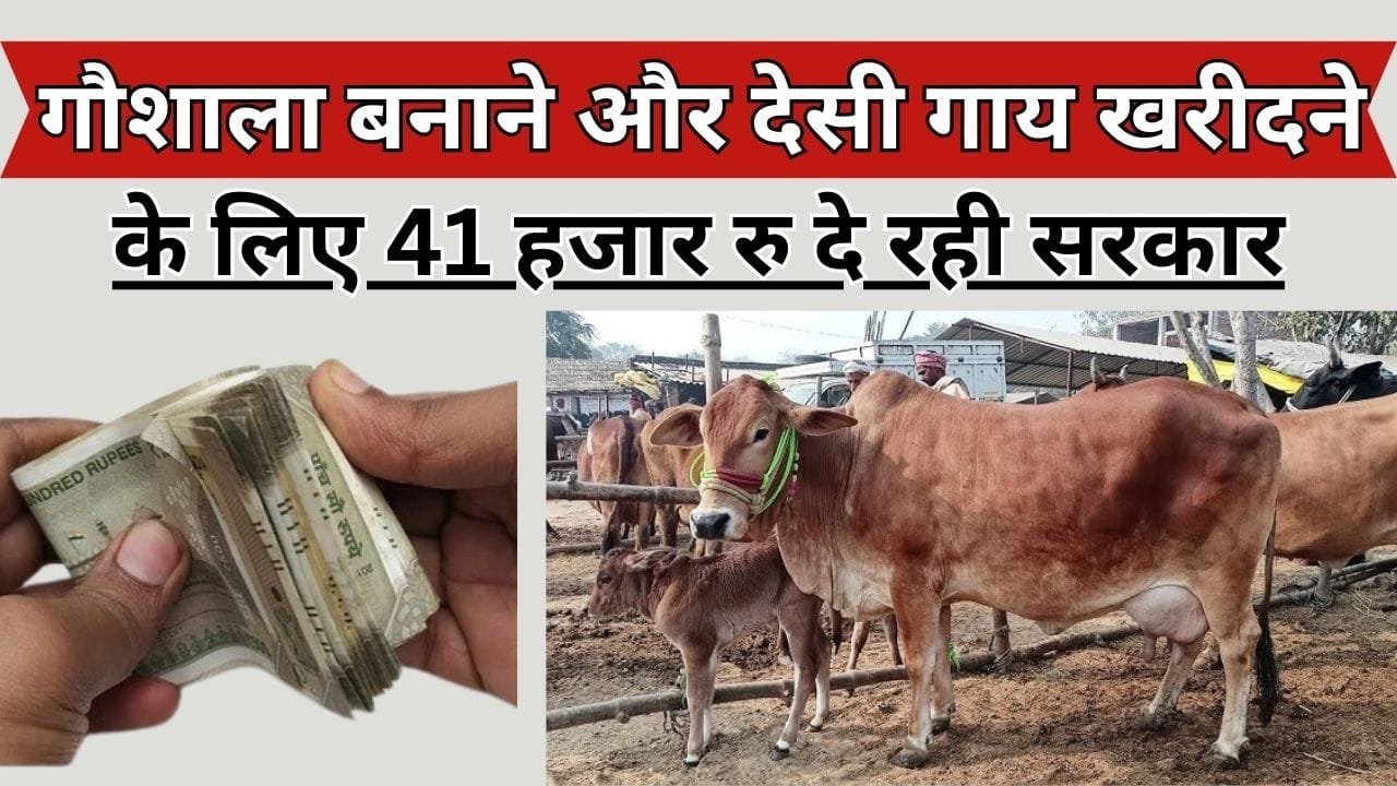 गौशाला बनाने और देसी गाय खरीदने के लिए अनुदान